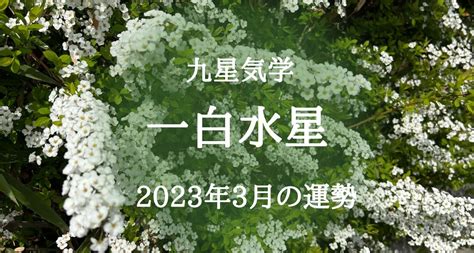 一白水星 2023|一白水星 2023年から9年間の運気！運の波に乗る開運法…適職